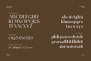 Sayiker Modern Ligature Serif Font, a Serif Font by Perfectype (Thumbnail 6 of 6)