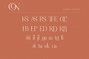Metagana – Modern Display Serif Font, a Serif Font by BrandSemut (Thumbnail 7 of 8)