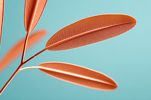 Minimalist close up of orange leaves, a Nature Photo by MistyDay
