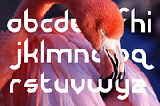 Dirty Flamingo, a Font by defaulterror (Thumbnail 3 of 3)