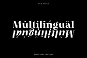 Regis | Elegant Serif Font Family, a Serif Font by Type and Co. (Thumbnail 20 of 20)