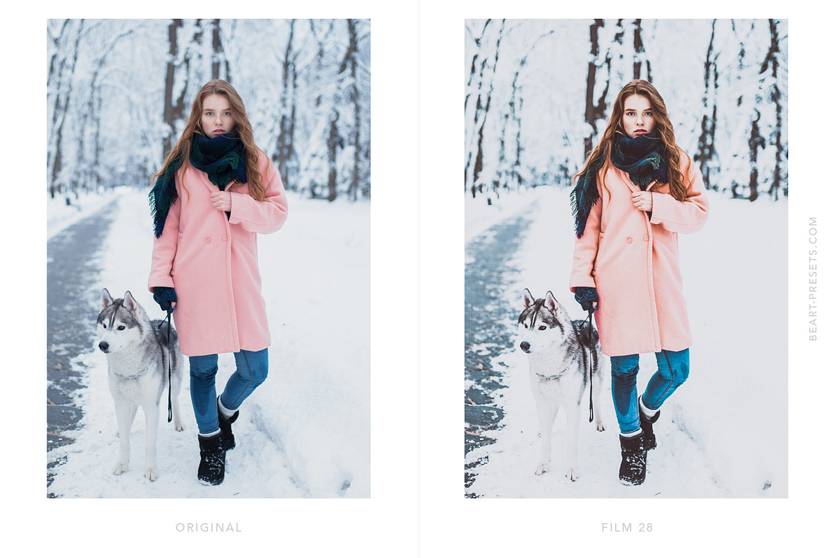 Lightroom Presets VSCO Film, an Action Add-On by BeArt-Presets (Photo 4 of 20)