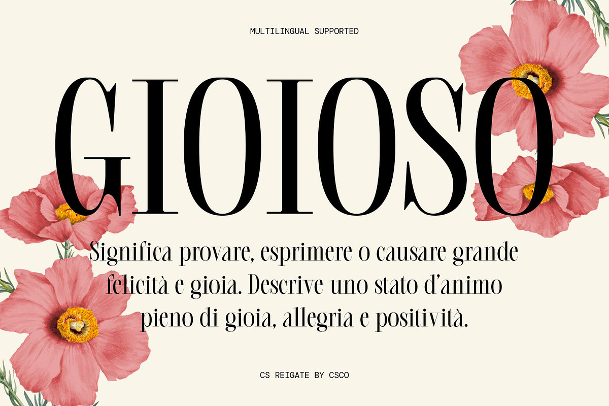 CS Reigate – Classic Font, a Serif Font by Craft Supply Co. (Photo 5 of 8)
