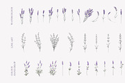 34 Lavender branch and bouquet, an Illustration by Kotkoa (Thumbnail 2 of 7)