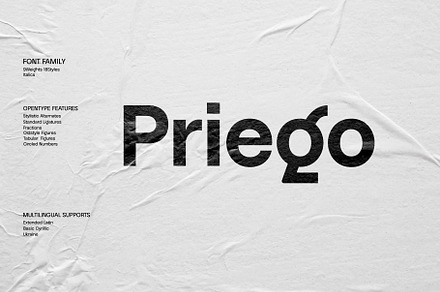 Priego Font Family, a Sans Serif Font by Brenners