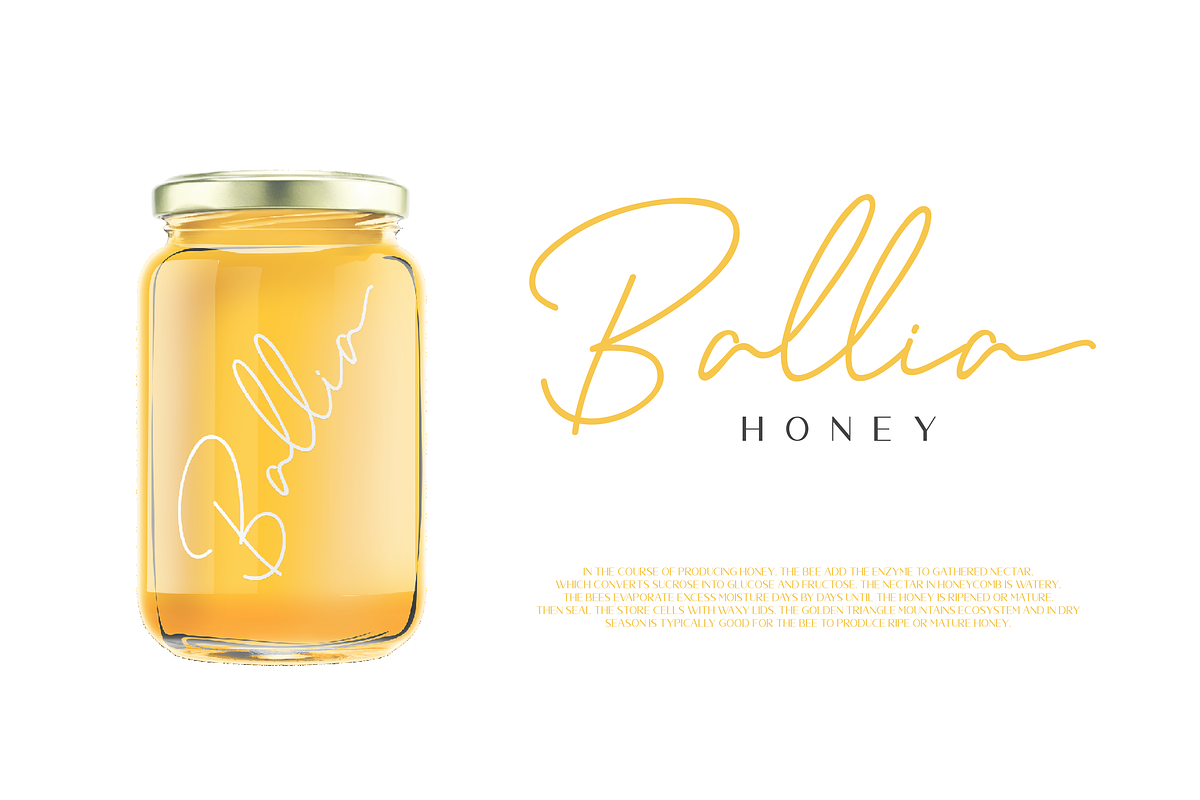 Ralline - Modern Script Font preview 7