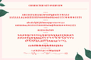Mogan Serif Font + Extras, a Font by Heritage Type Co. (Thumbnail 15 of 16)