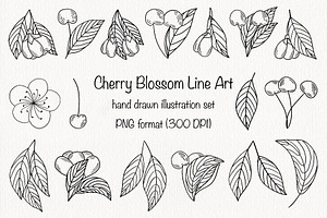 Cherry Blossom Line Art