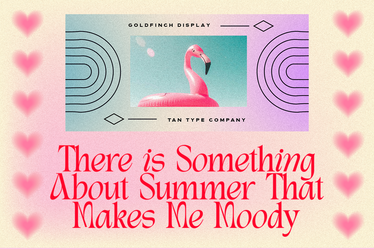 TAN - THE GOLDFINCH, a Font by TanType (Photo 5 of 9)