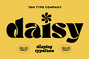 TAN - DAISY, a Serif Font by TanType (Thumbnail 1 of 14)