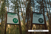 20 Vintage Nature Lightroom Presets, a Preset Add-On by SparkleStock (Thumbnail 4 of 17)
