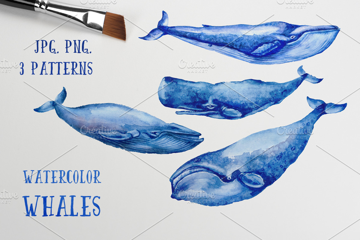 Watercolor Whales & Patterns, an Animal Illustration by ZiziMarket (Photo 1 of 3)