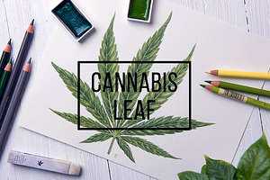 Botanical hand drawing - sativa leaf