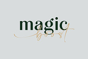Calton Elegance | Font Duo, a Handwritten Font by Lemonthe (Thumbnail 5 of 8)