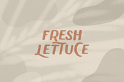 Chammer Beauty - Classic Sans DISC%, a Sans Serif Font by Anxiety Studio (Thumbnail 9 of 15)
