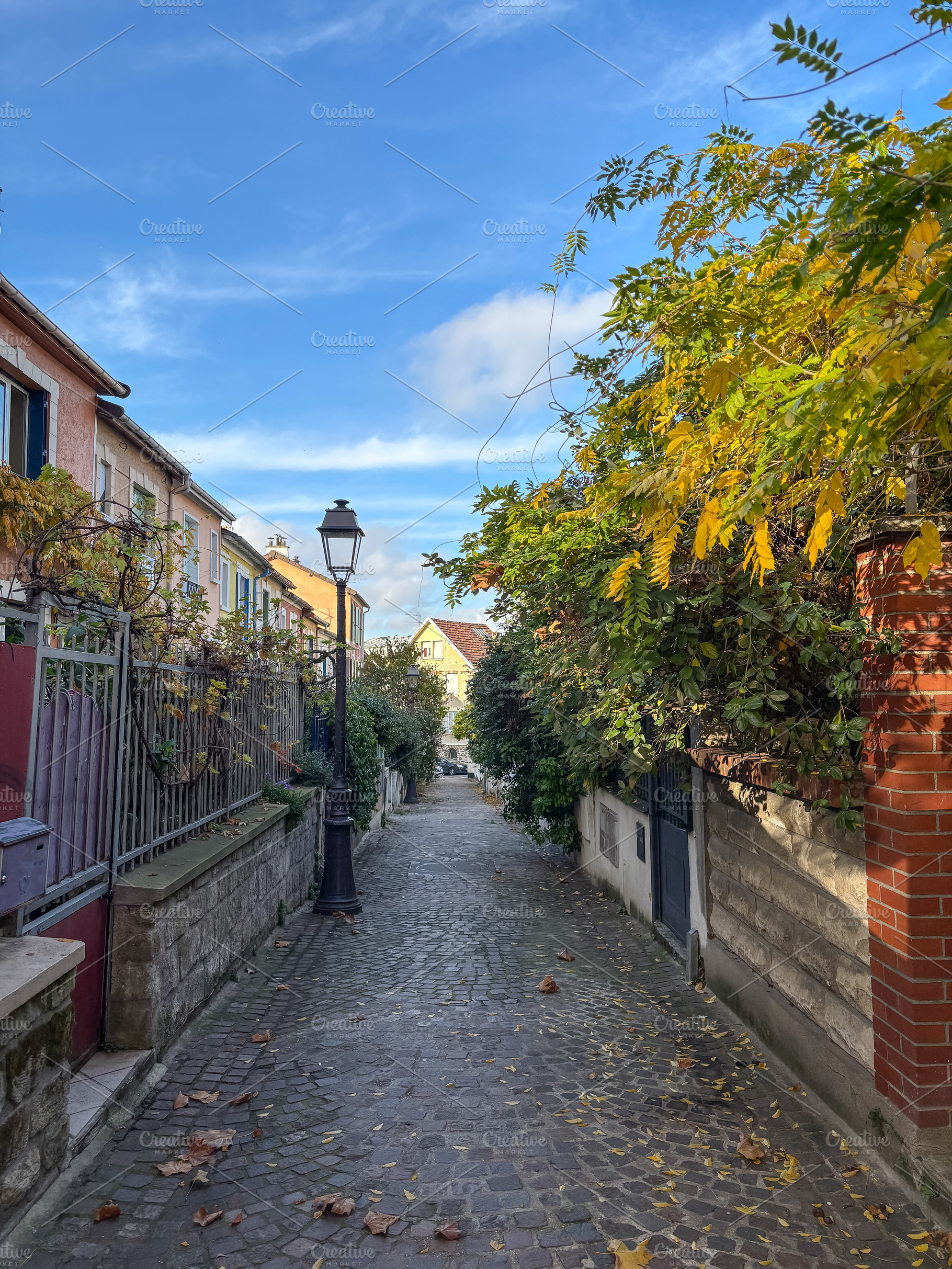 Mouzaia cobblestone alley with blooming greenery in Paris 19th F, an Architecture Photo by GoodGoods