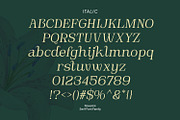 Novarick, a Serif Font by din-studio.com (Thumbnail 11 of 16)