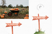 Watercolor Fall Pumpkin Clipart, a Decorative Illustration by YuliyaArtGarden (Thumbnail 4 of 5)