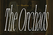 Libertalios - Super Condensed Serif, a Serif Font by Typia Nesia (Thumbnail 10 of 10)