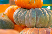 Fall Pumpkin Stock Bundle, a Holiday Photo by r.r.palacios (Thumbnail 5 of 15)