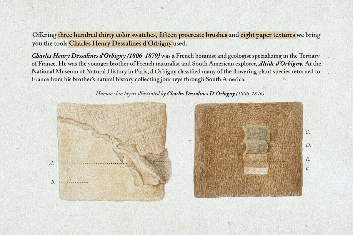 Hand Colored Engraving Procreate Kit, a Brush Add-On by Digi Life (Photo 2 of 10)