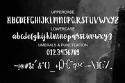 Debt Collectors, a Script Font by MSG Studio (Thumbnail 9 of 10)