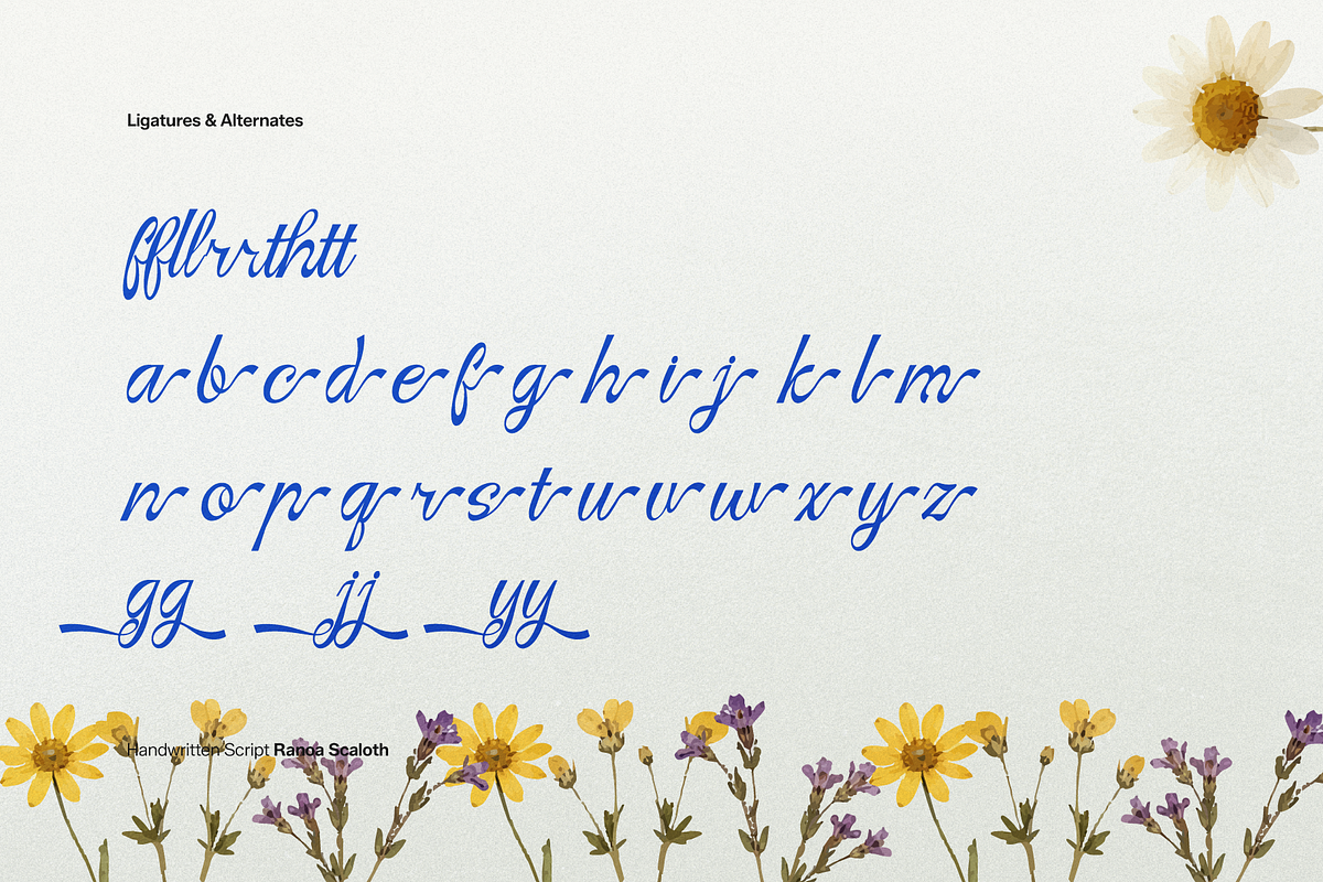 Ranoa Scaloth | Handwritten Script, a Script Font by gracetype_studio (Photo 11 of 11)