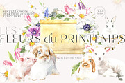 52in1 Whole Shop Bundle Watercolor, an Animal Illustration by Catherine Wheel (Thumbnail 6 of 28)