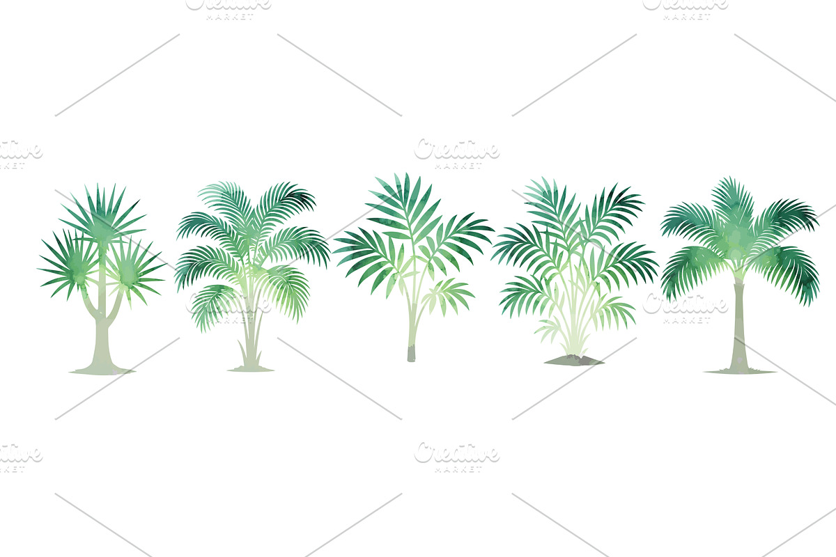 Set Watercolor palm trees objects, an Object Illustration by Nenahliadava Design