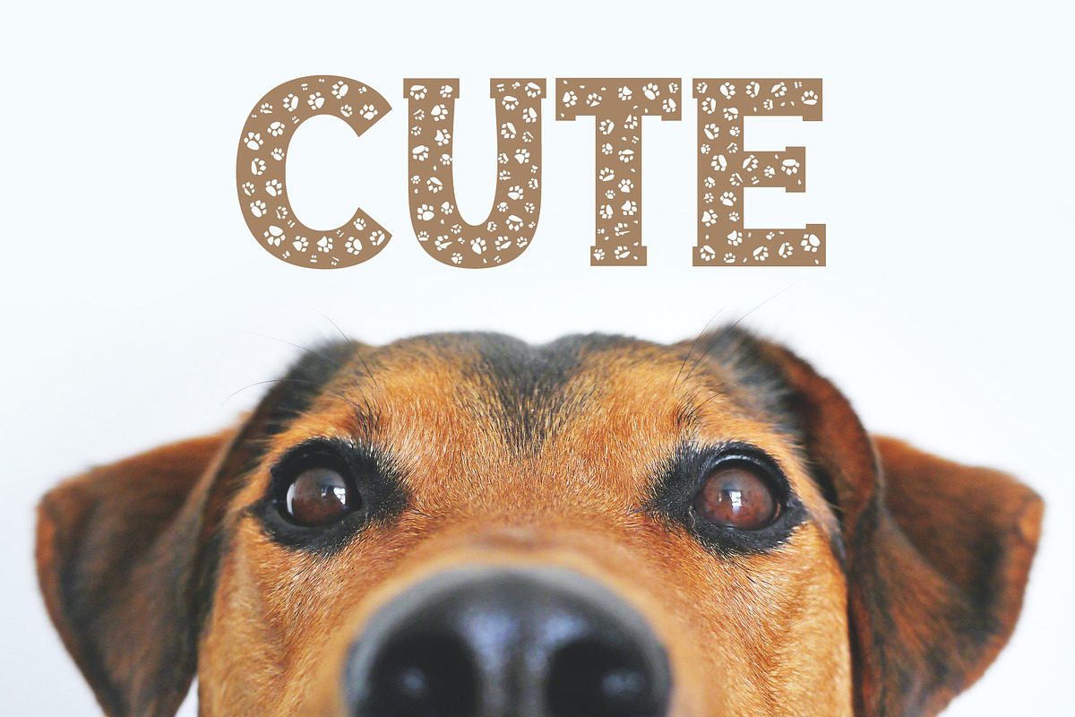 Dog Paw - Pet Font, a Font by vladocar (Photo 4 of 7)