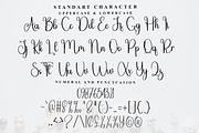Angelina Calligraphy, a Handwritten Font by FreshTypeINK (Thumbnail 3 of 8)