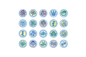 plant natural cosmetic green icons, an Object Illustration by pikepicture