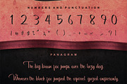 Bertha - Script With Ligatures, a Script Font by Vintage Font Lab (Thumbnail 4 of 10)