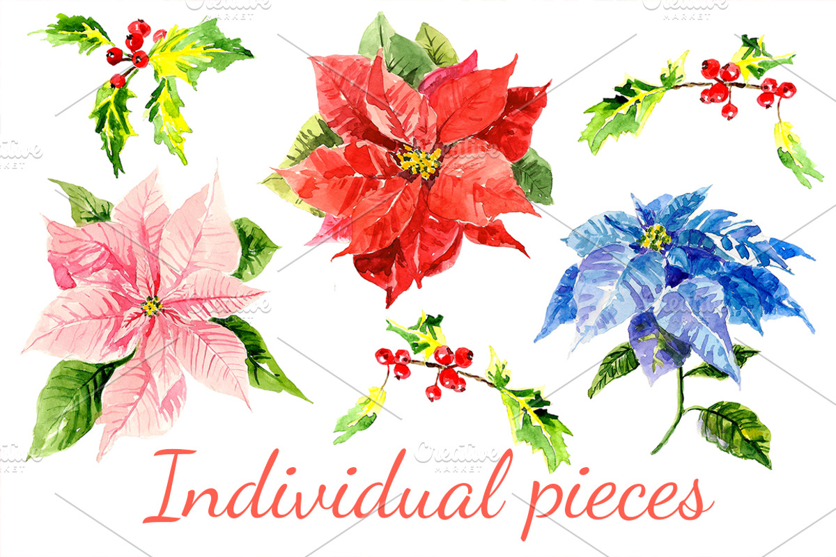 Winter Watercolor Flowers, a Graphic by KannaaDesign (Photo 2 of 5)