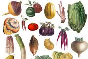 Vintage Vegetables Set 3, a Graphic by Digital Vintage (Thumbnail 2 of 2)