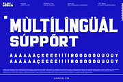 Flux Urban, a Serif Font by inumocca_type (Thumbnail 10 of 11)