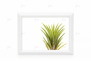 White 5x7" frame isolated mockup