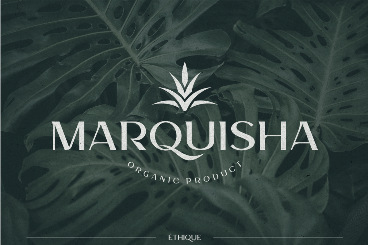 ETHIQUE, a Sans Serif Font by Bagerich Type Foundry (Photo 4 of 8)
