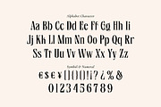 Blinds Audience - Aesthetic Font, a Serif Font by Fype Co. (Thumbnail 5 of 5)