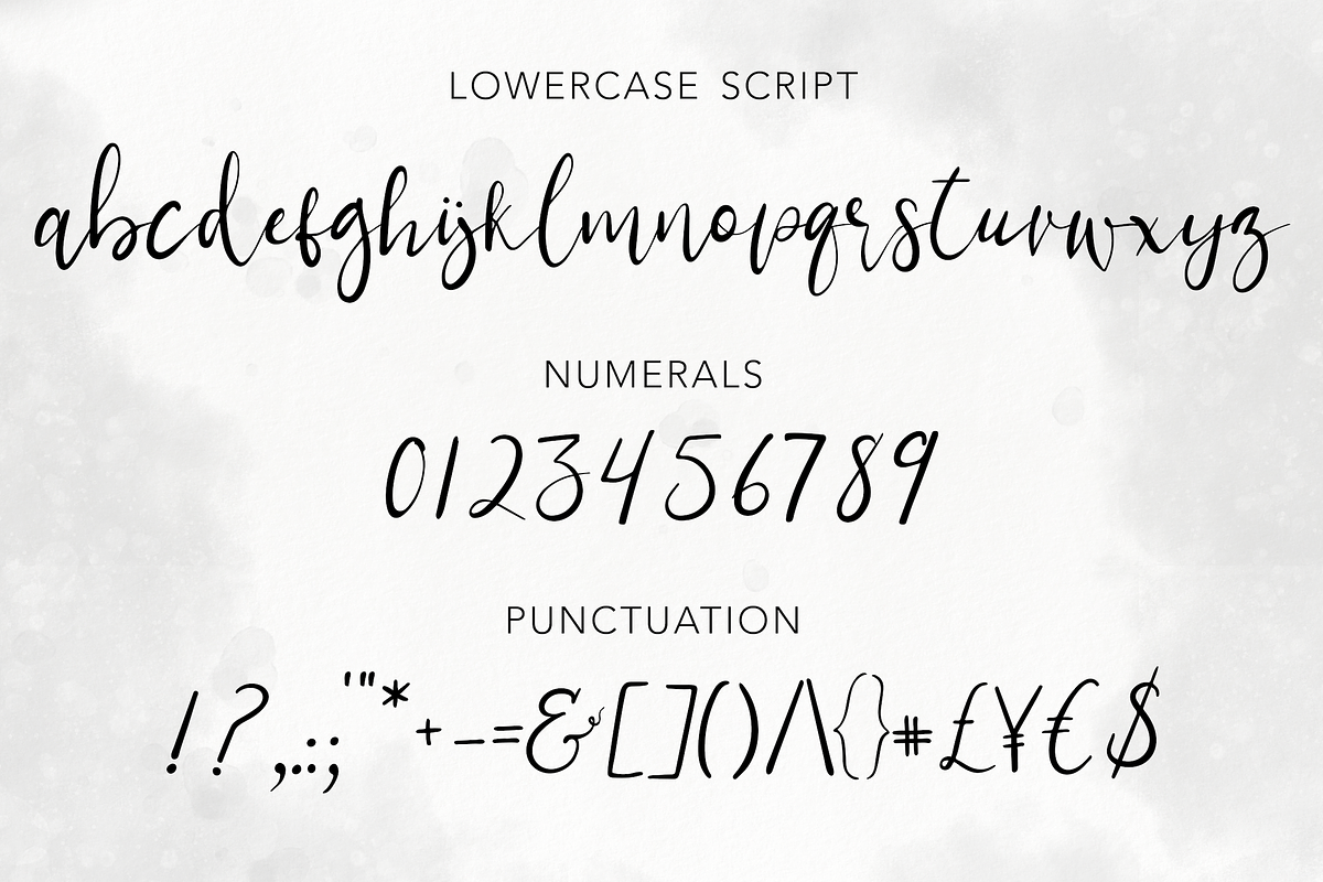 Demilo Brush Script With Swashes preview 3