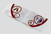 Wedding Packge Details, a Brochure Template by Graphic_Art (Thumbnail 5 of 6)