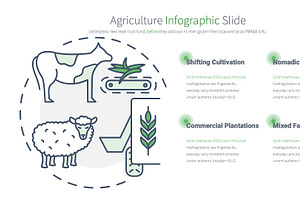 Agriculture PowerPoint Infographic