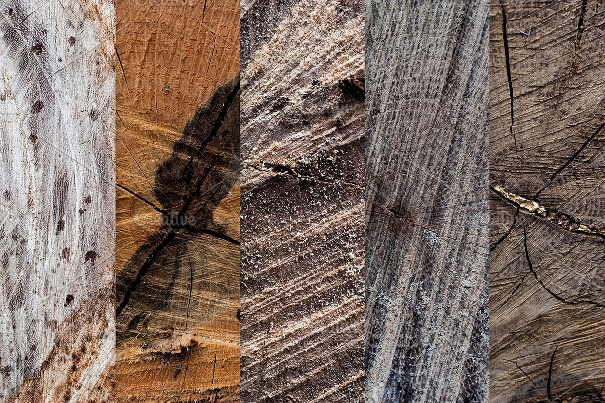 14 Tree & Wood Ring Textures, a Nature Photo by WeGraphics (Photo 5 of 6)
