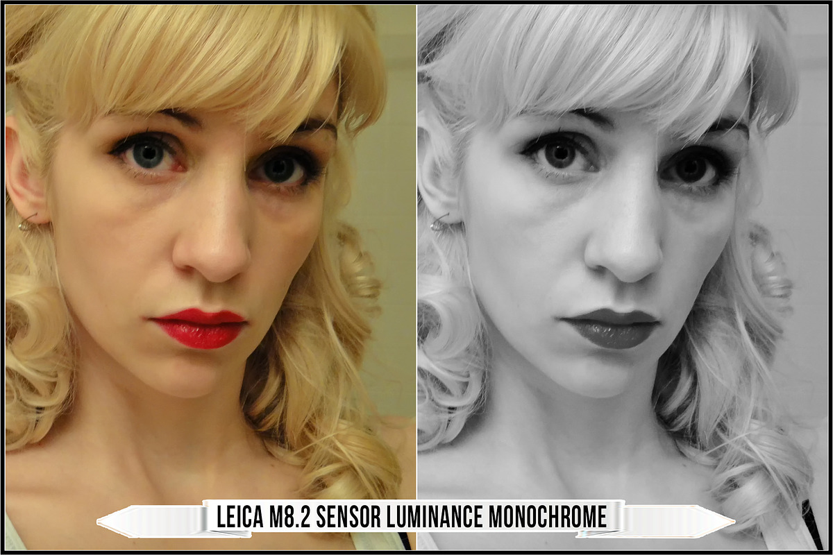Leica Colors & Sensor Luminance, a Plug-in Add-On by Raztrend (Photo 7 of 29)