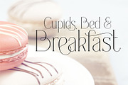 Everleigh Serif font, a Serif Font by Gleb Guralnyk (Thumbnail 2 of 8)
