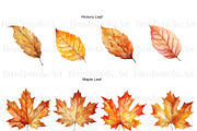 Fall Leaves Clipart, Autumn Leaf PNG, a Decorative Illustration by BrushstrokeArtGB (Thumbnail 2 of 9)