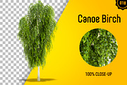 CUT OUT TREES - 60 PCS BUNDLE, a Packaging Mockup by 3DSTORE (Thumbnail 19 of 63)