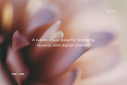 Harmony – Soft Focus Backgrounds, a Texture Graphic by Filip Studio (Thumbnail 4 of 8)