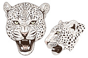 White LEOPARD, an Animal Illustration by Tanya Akhmett (Thumbnail 4 of 6)