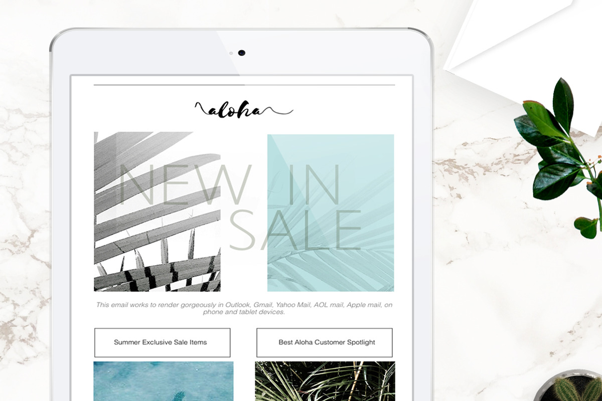 Email Template Layout with HTML, an Email Template by Aloha Philly (Photo 5 of 5)